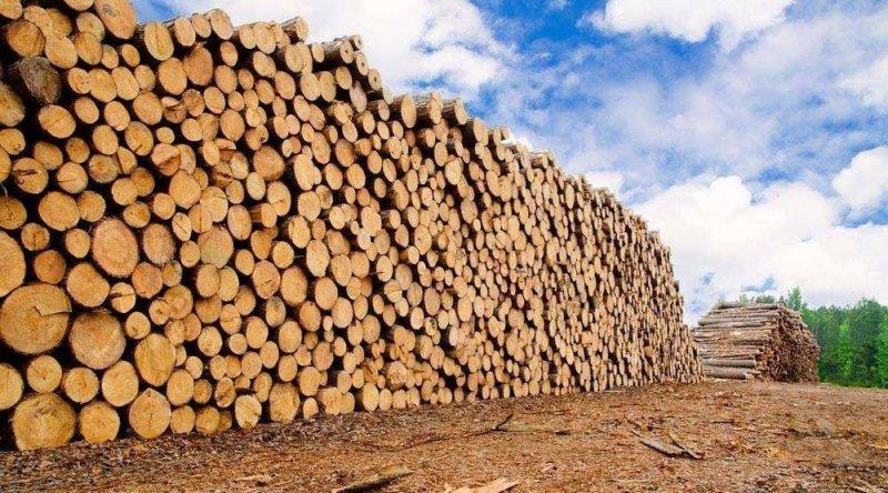 中国一年内取消对美部分硬木木材加征关税