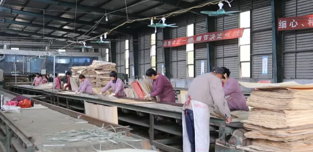 山东郓城县木材加工产业集中供热压煤减排