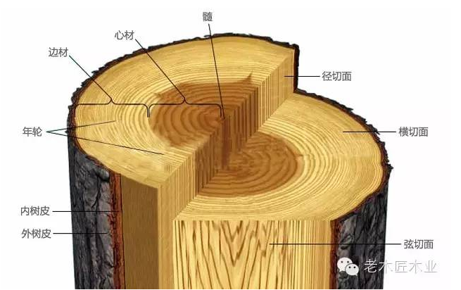 整木定制木材常用知识 