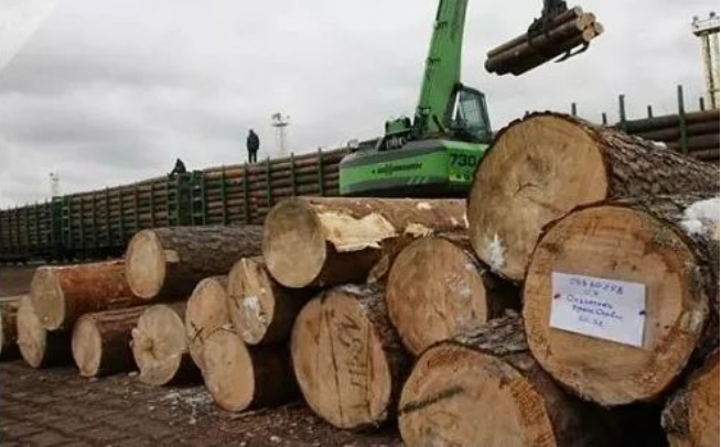 2022年原木行业发展趋势及市场形式分析