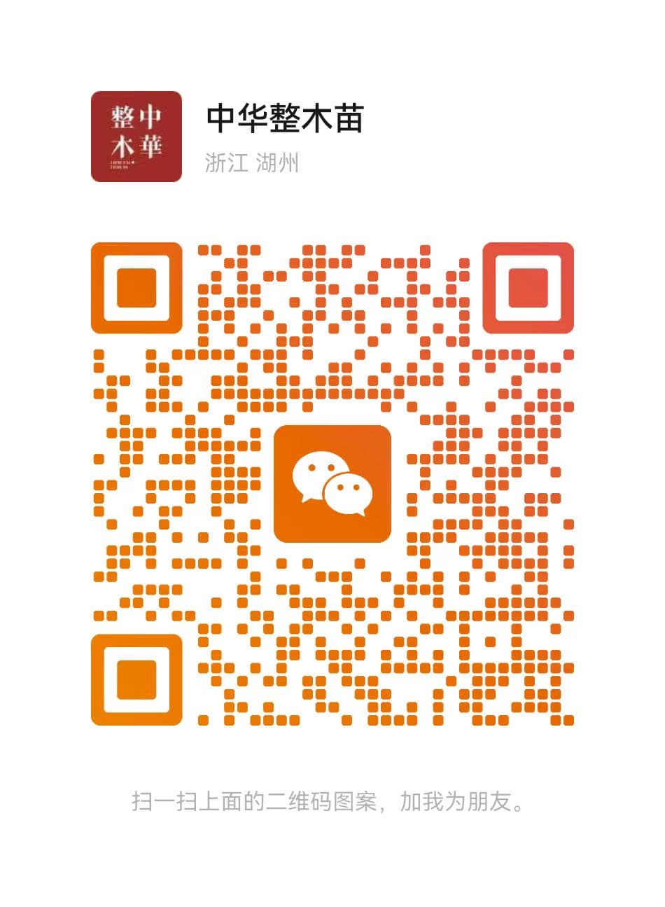 企业微信咨询二维码