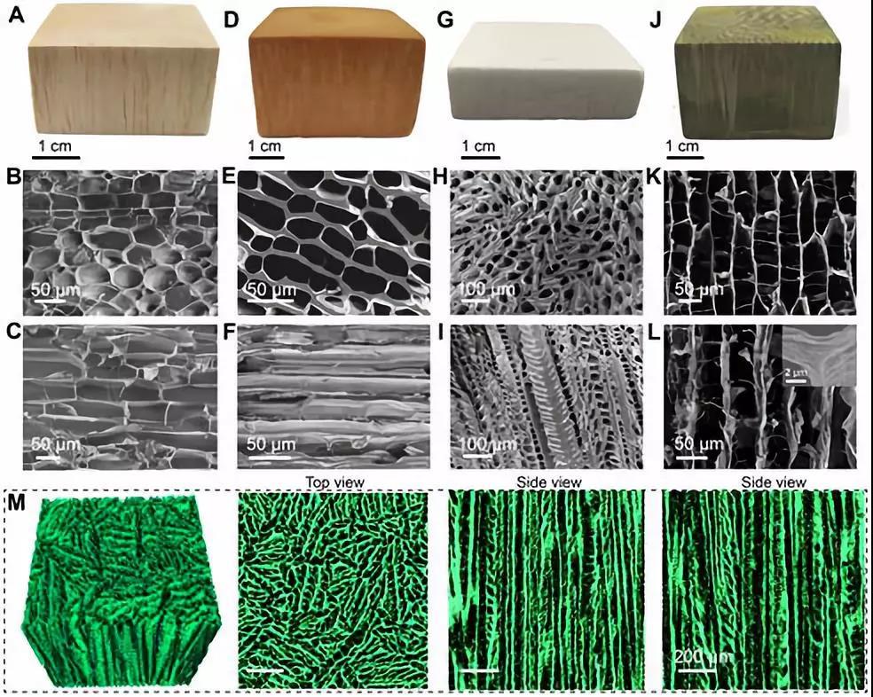 知识 | 防火耐酸还隔热？中国智造的仿生木材，就是这么“硬核”！