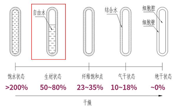 木材水分状态