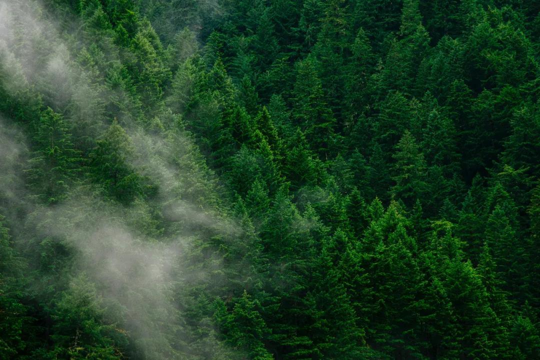 山居之致，宁静隐逸 | 自然与现代的融合