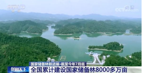 截至今年7月底 全国累计建设国家储备林8000多万亩