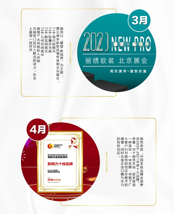 丽绣云感亲肤墙布|砥砺前行 精彩2021